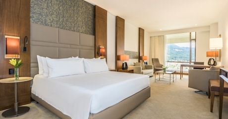 Room Habitación Premium con Vista